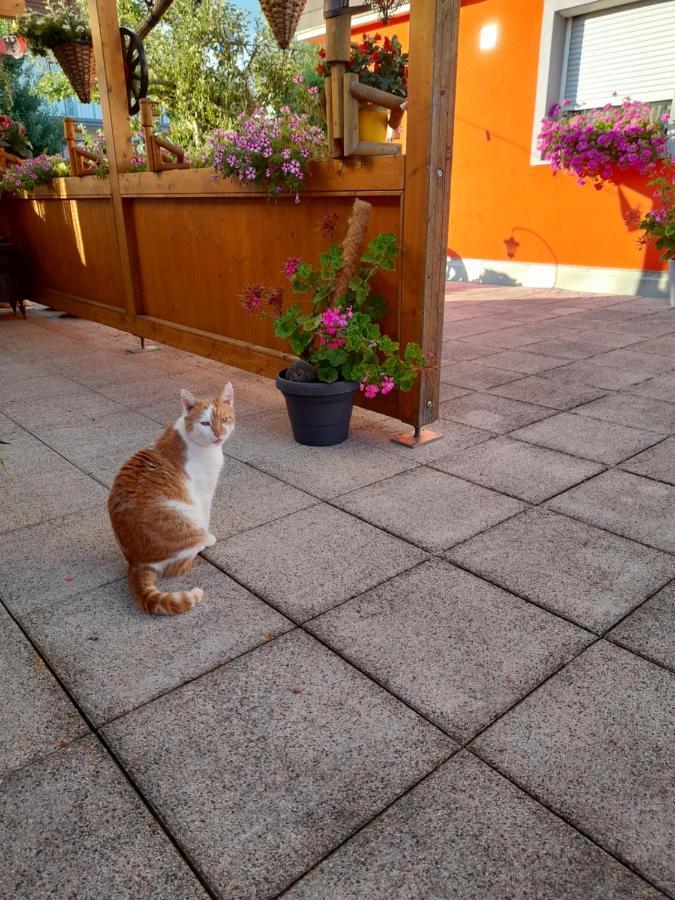 Apartamento Trollenhof Wellendingen Exterior foto